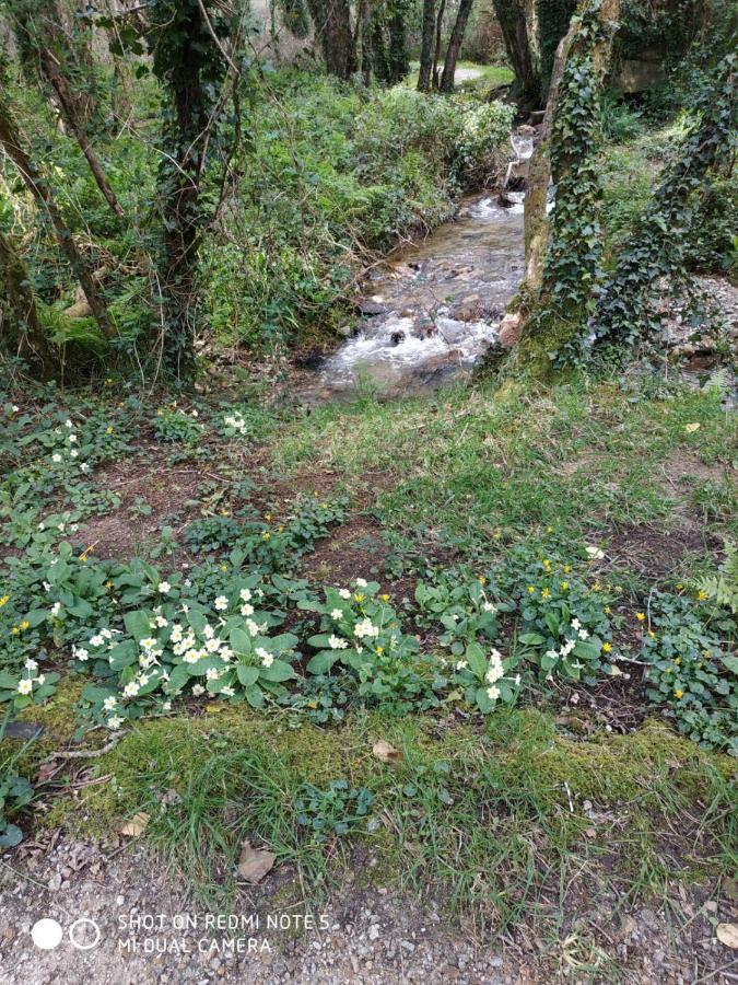 Costa Da Morte "Paraiso De Galicia" Ponteceso Εξωτερικό φωτογραφία